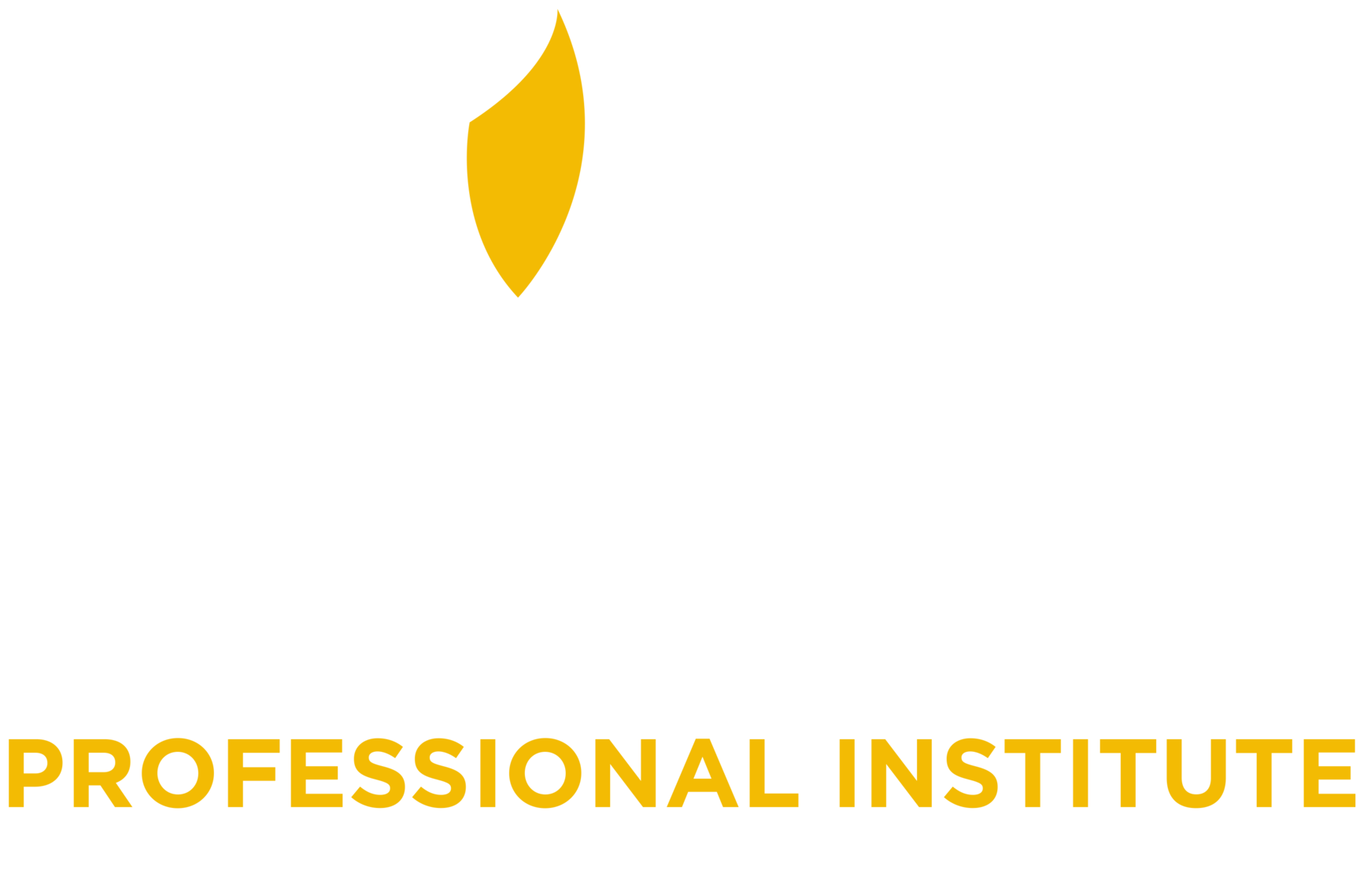 Professional Institute of Excellence (PIE)